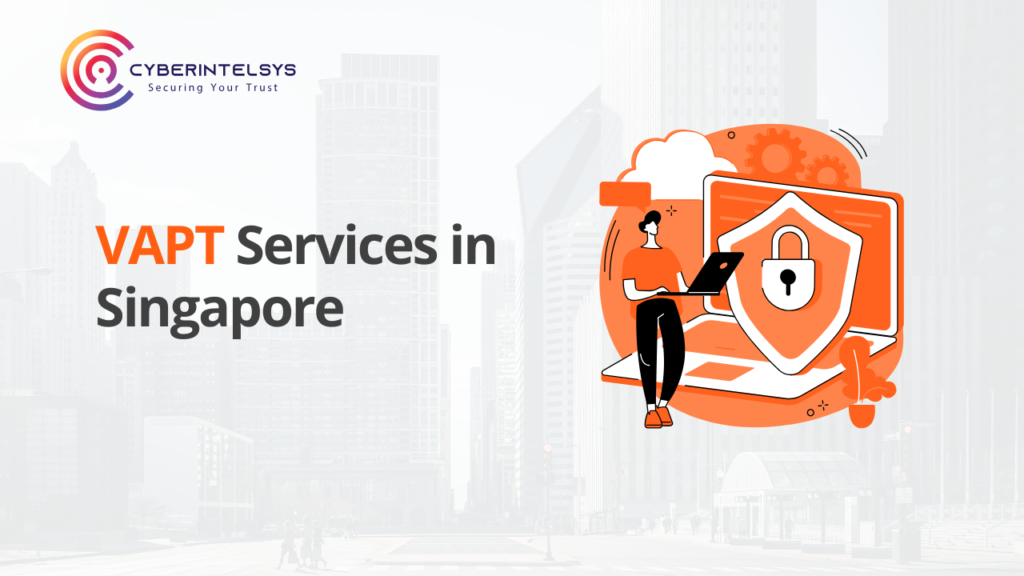 vapt services in singapore