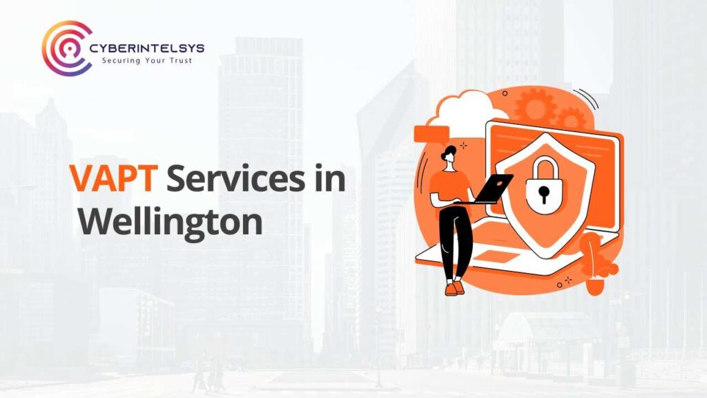 VAPT services in Wellington