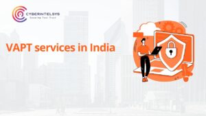 VAPT Services in India